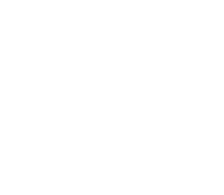 Optilock