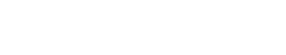 Stoeger Airguns